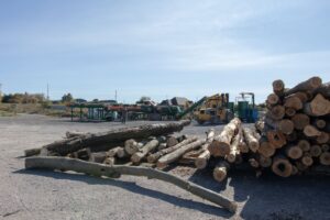 firewood splitting