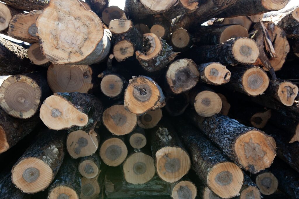 How to Store Firewood Outside